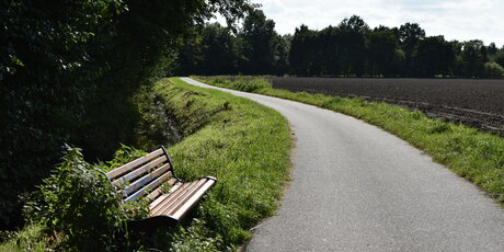 Bank am Wegesrand mit Blick auf ein braunes Feld