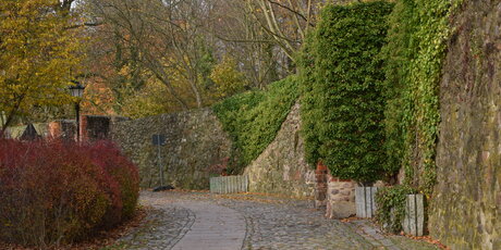 Stadtmauer Bernau mit Weg im Herbst