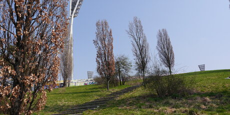 Herbst im menschenleeren Mauerpark