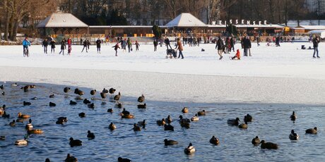 Weißer See im Winter mit Enten und Menschen auf Eisfläche