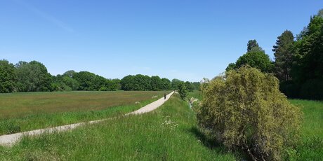 Panke Radweg zwischen Buch und Zepernick