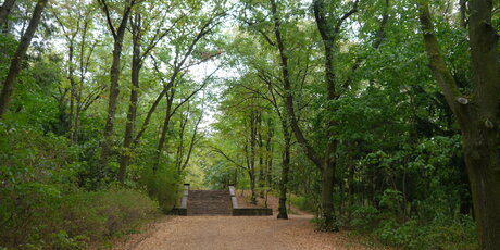 Schönholzer Heide