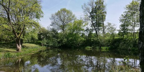 Botanischer Volkspark Pankow