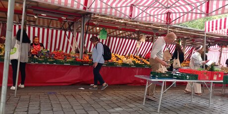Banco di frutta e verdura al mercato settimanale di Kollwitzplatz