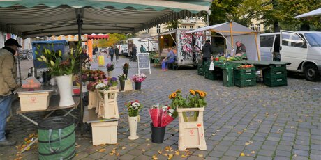 Wochenmarkt Helmholtzplatz, Prenzlauer Berg