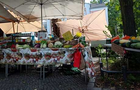 Gemüsestand auf dem Wochenmarkt Alt Pankow