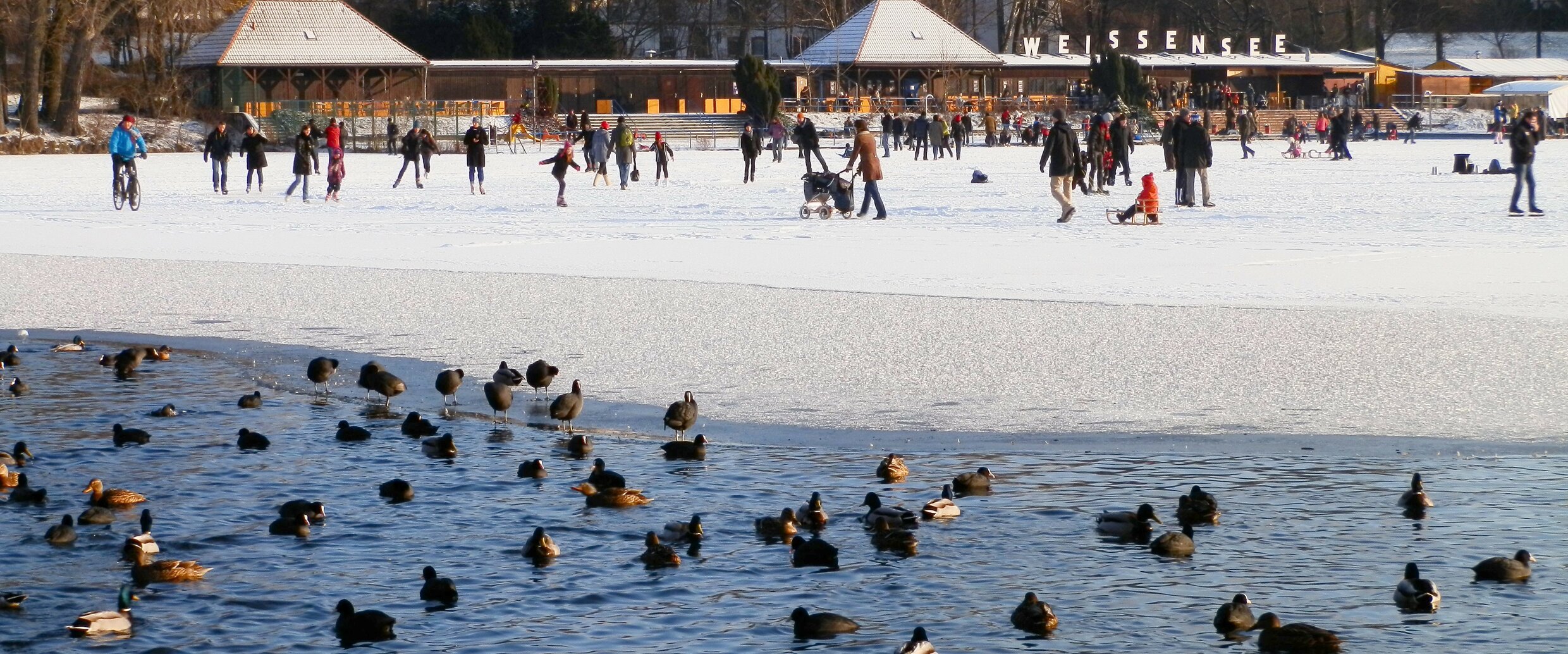 Eine winterliche Runde um den Weißen See pankowweissensee