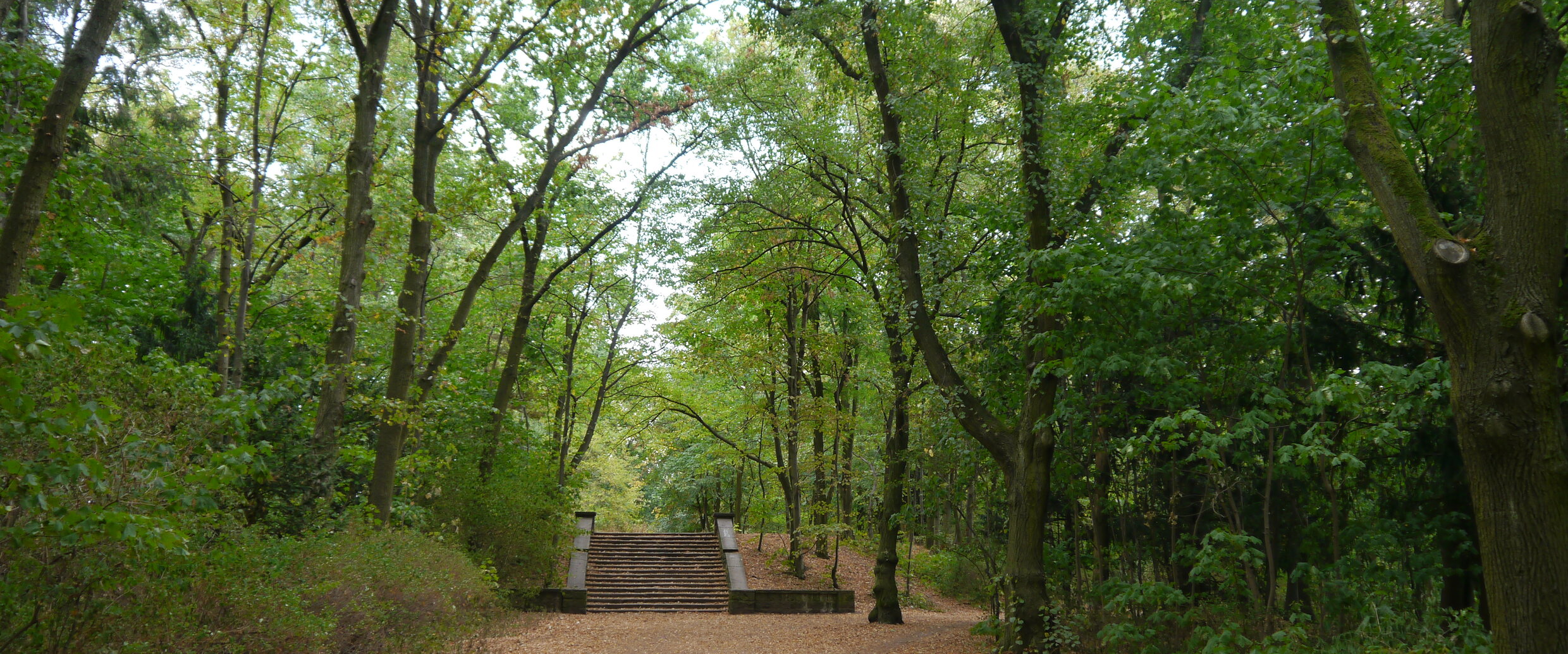 Picture of Volkspark Schönholzer Heide