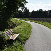 Bank am Wegesrand mit Blick auf ein braunes Feld