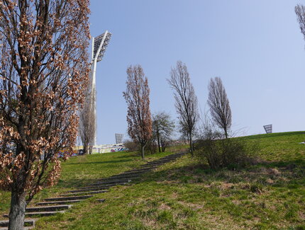 Herbst im menschenleeren Mauerpark