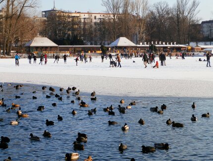 Weißer See im Winter mit Enten und Menschen auf Eisfläche
