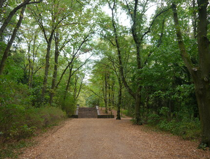 Schönholzer Heide