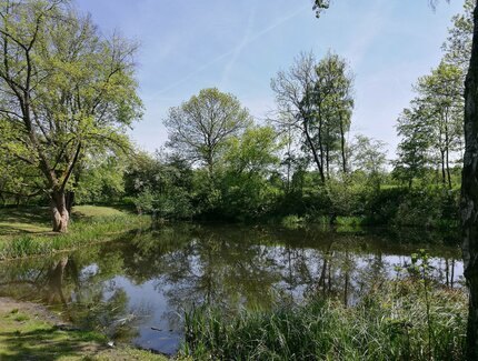 Botanischer Volkspark Pankow