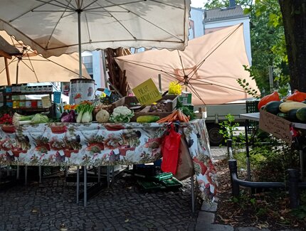 Gemüsestand auf dem Wochenmarkt Alt Pankow