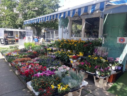 Verkaufsstand mit vielen Blumen auf dem Wochenmarkt Greifswalder Straße