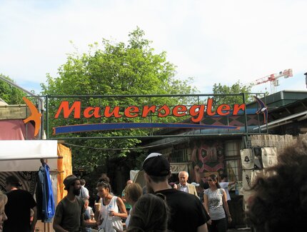 Mauersegler