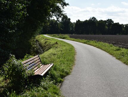 Bank am Wegesrand mit Blick auf ein braunes Feld