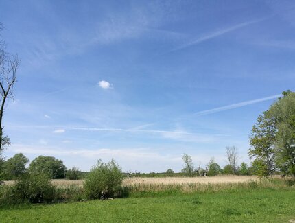 Heidelandschaft unter blauen Sommerhimmel