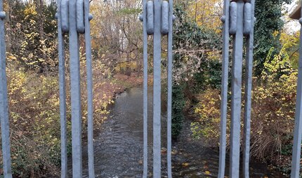 Die Panke im Bürgerpark