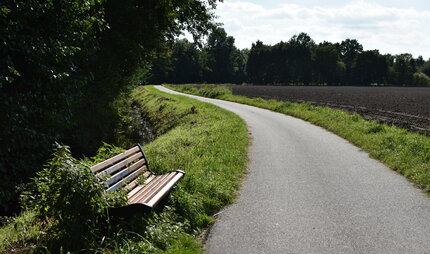 Bank am Wegesrand mit Blick auf ein braunes Feld