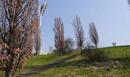 Herbst im menschenleeren Mauerpark