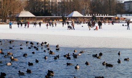 Weißer See im Winter mit Enten und Menschen auf Eisfläche