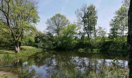 Botanischer Volkspark Pankow